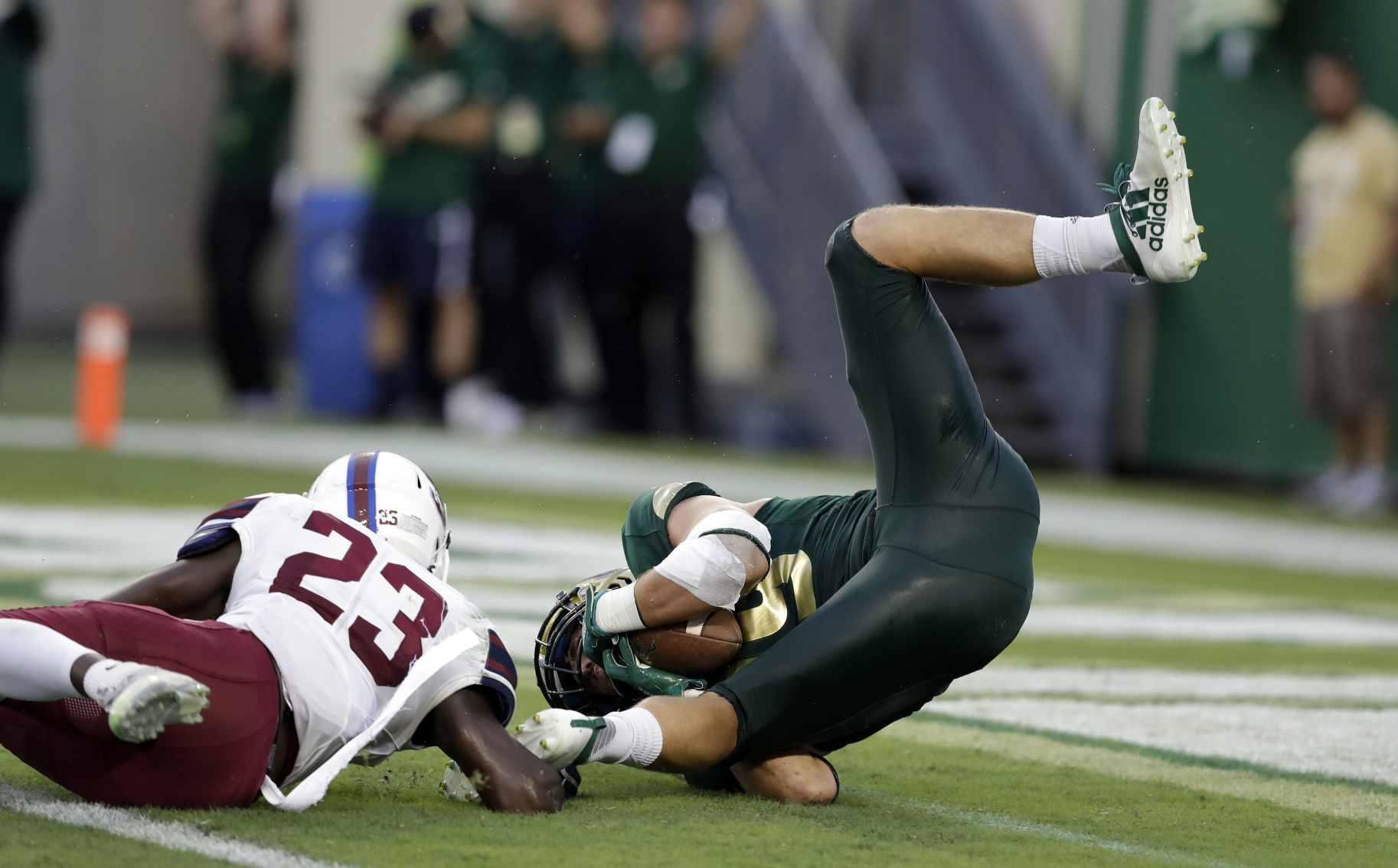 S Carolina St South Florida Football